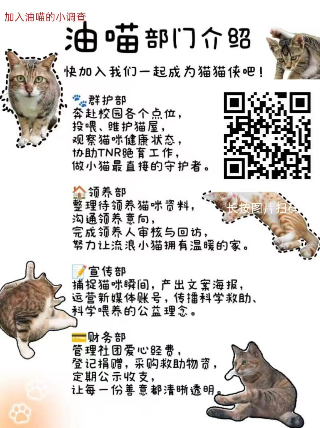 油喵部门介绍海报 · 点击放大后扫码加入